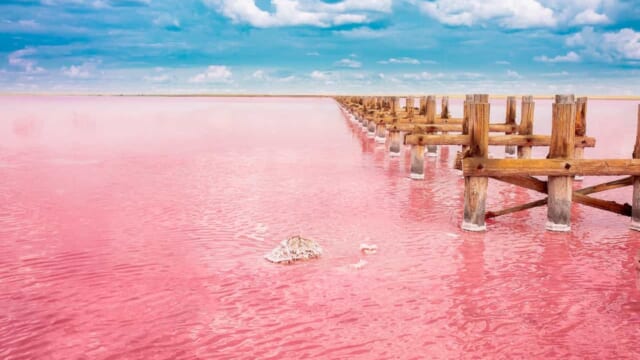 アフリカ大陸の最西端に位置する「セネガル」ってどんな国？