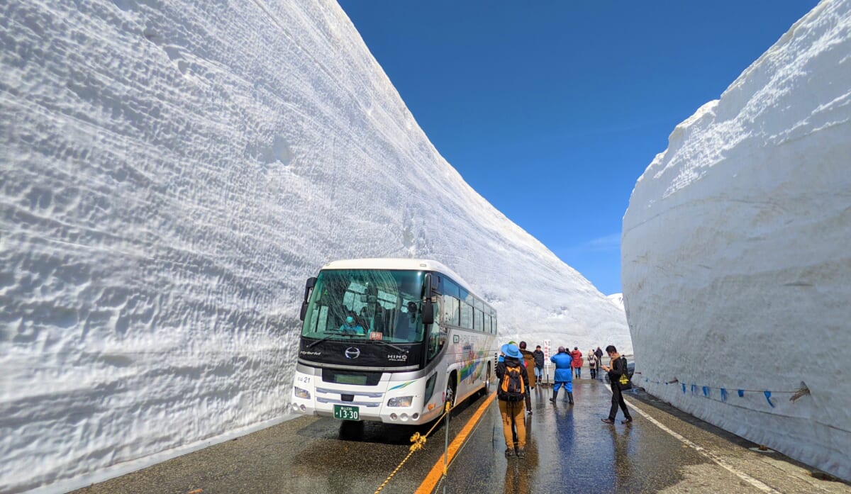 2023年の高さは13m！迫力ある雪の壁の間を歩く「雪の大谷ウォーク」が開催中