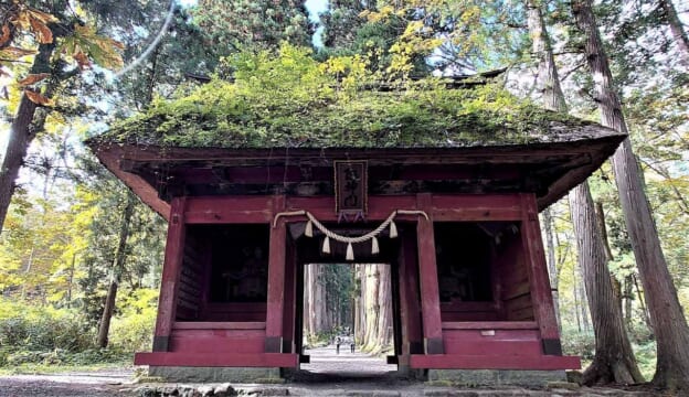 絶景と秘湯に出会う山旅(53)戸隠神社五社巡りと絵画のように美しい鏡池 | TABIZINE~人生に旅心を~