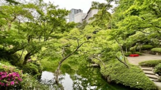 八芳園　日本庭園