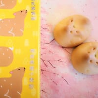 奈良県奈良市・多口製菓「小鹿物語」5
