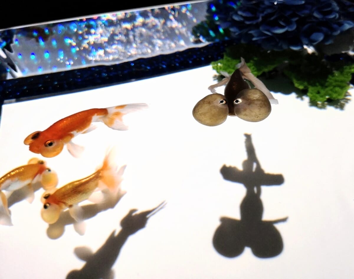 東京都中央区・銀座三越「アートアクアリウム美術館 GINZA」2023初夏特別演出「紫陽花づくし」水泡眼