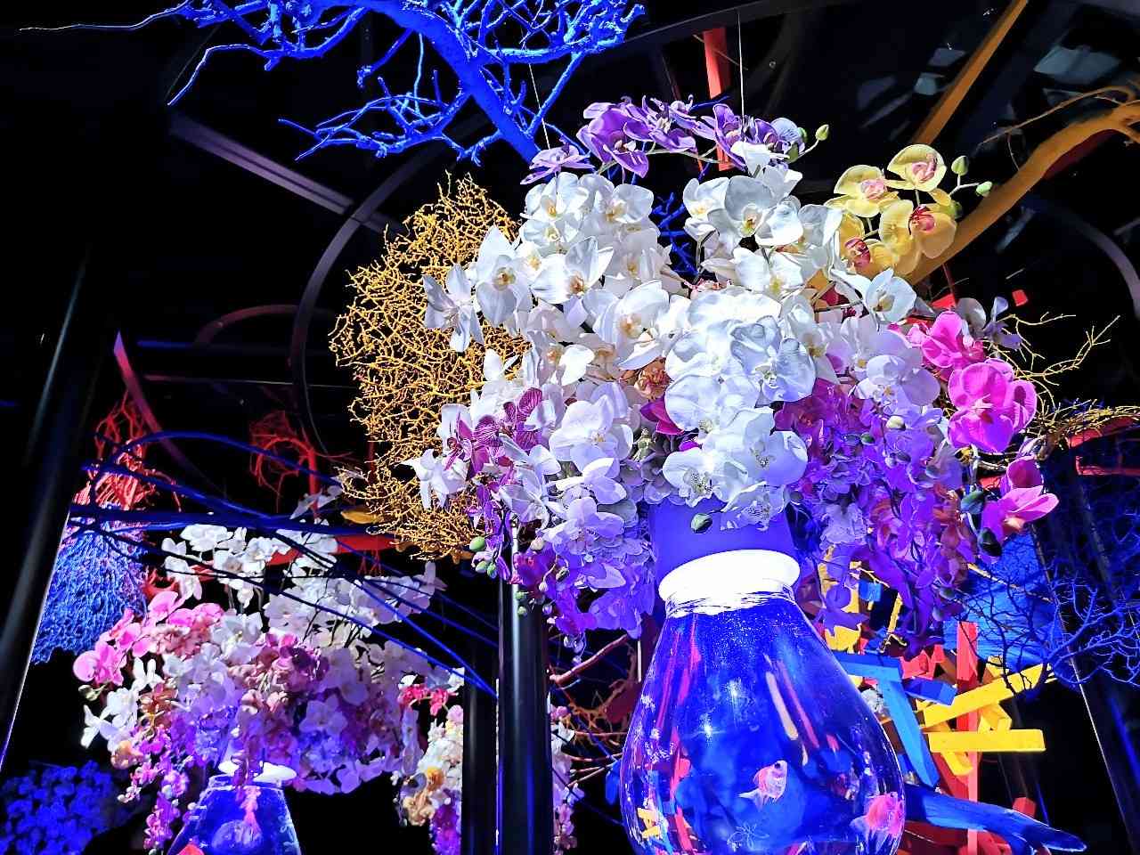 東京都中央区・銀座三越「アートアクアリウム美術館 GINZA」2023初夏特別演出「紫陽花づくし」フラワーリウム