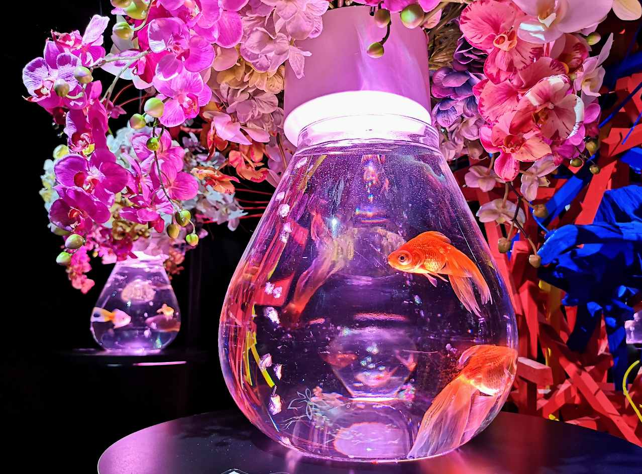 東京都中央区・銀座三越「アートアクアリウム美術館 GINZA」2023初夏特別演出「紫陽花づくし」フラワーリウム2