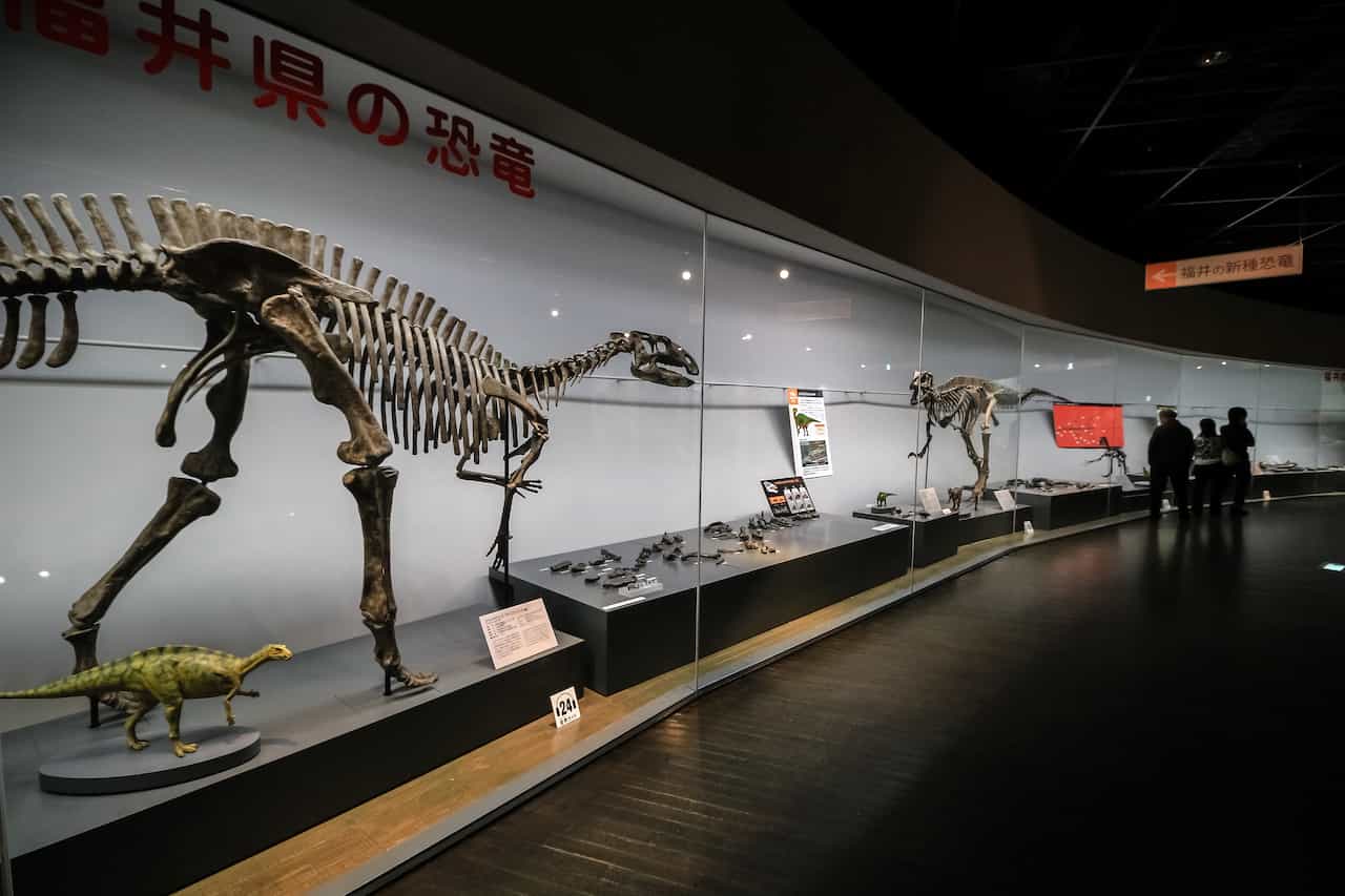 福井県立恐竜博物館（日本）