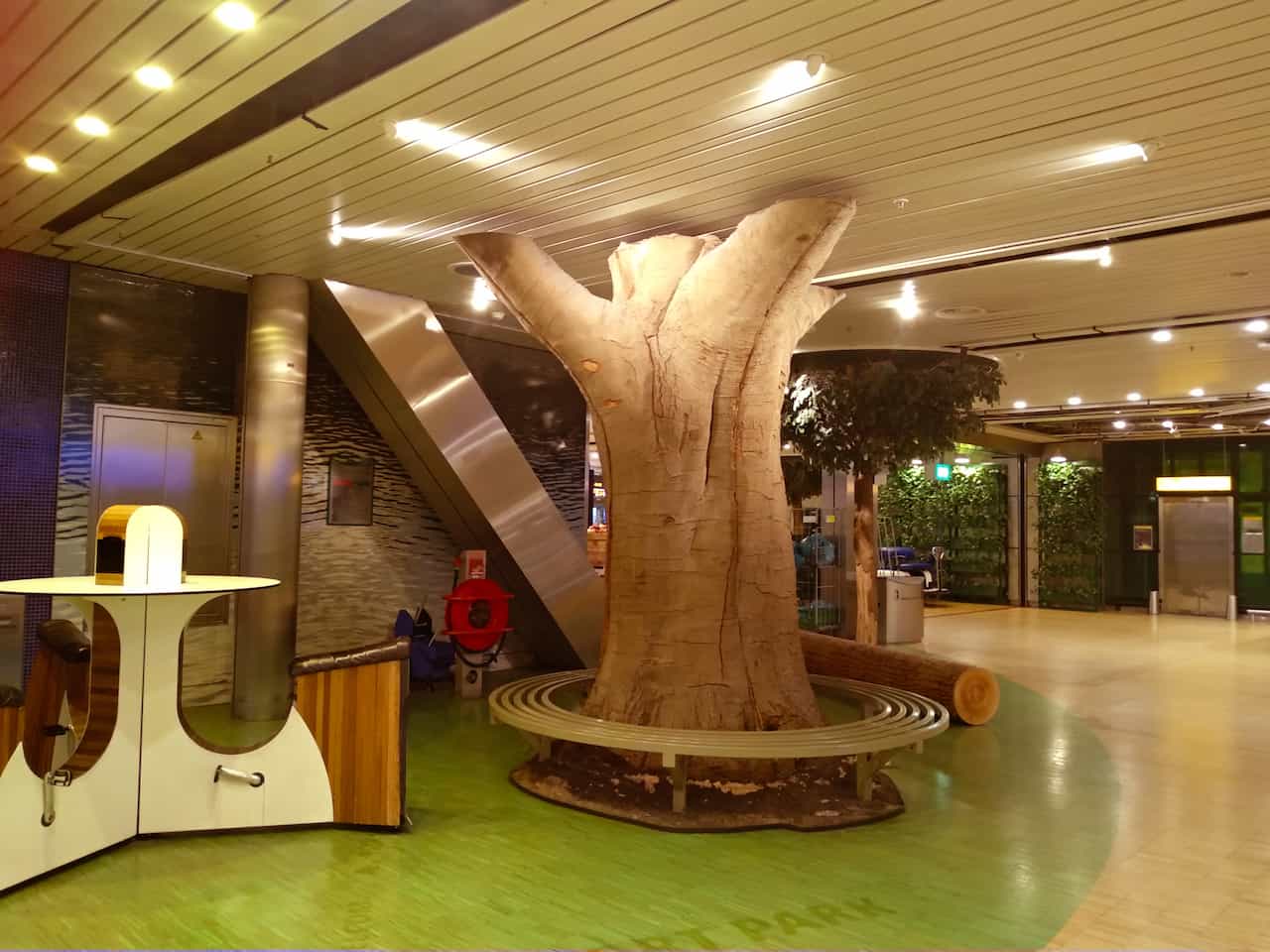 オランダ・アムステルダム・スキポール空港内の木