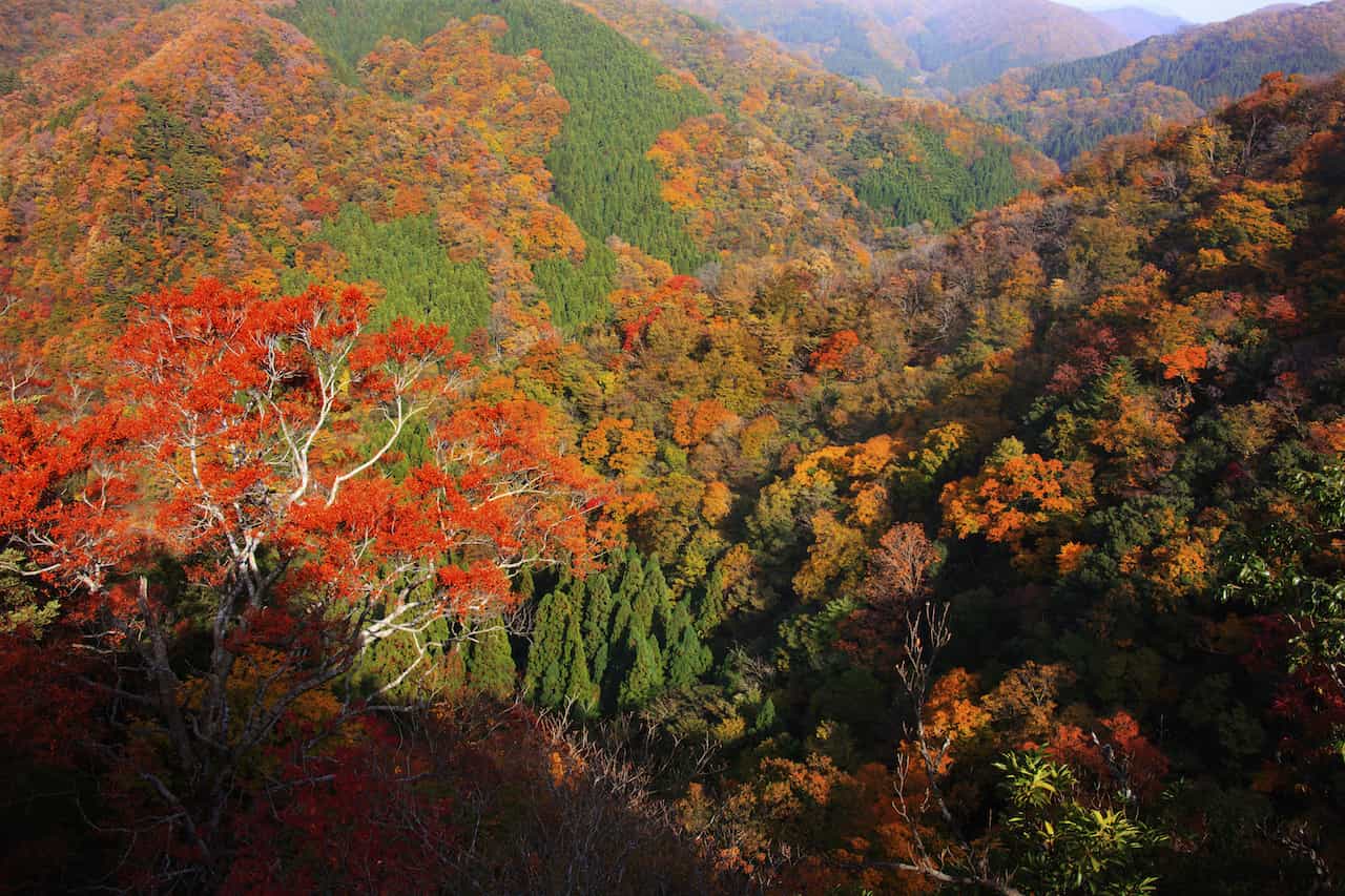 鳥取県・三徳山の紅葉
