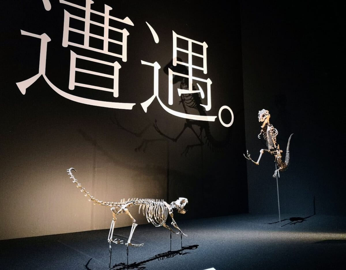 東京都港区・東京ミッドタウン・ホール「DinoScience 恐竜科学博 2023@TOKYO MIDTOWN」ティラノサウルス・レックス幼体、ディデルフォドン・ヴォラックス