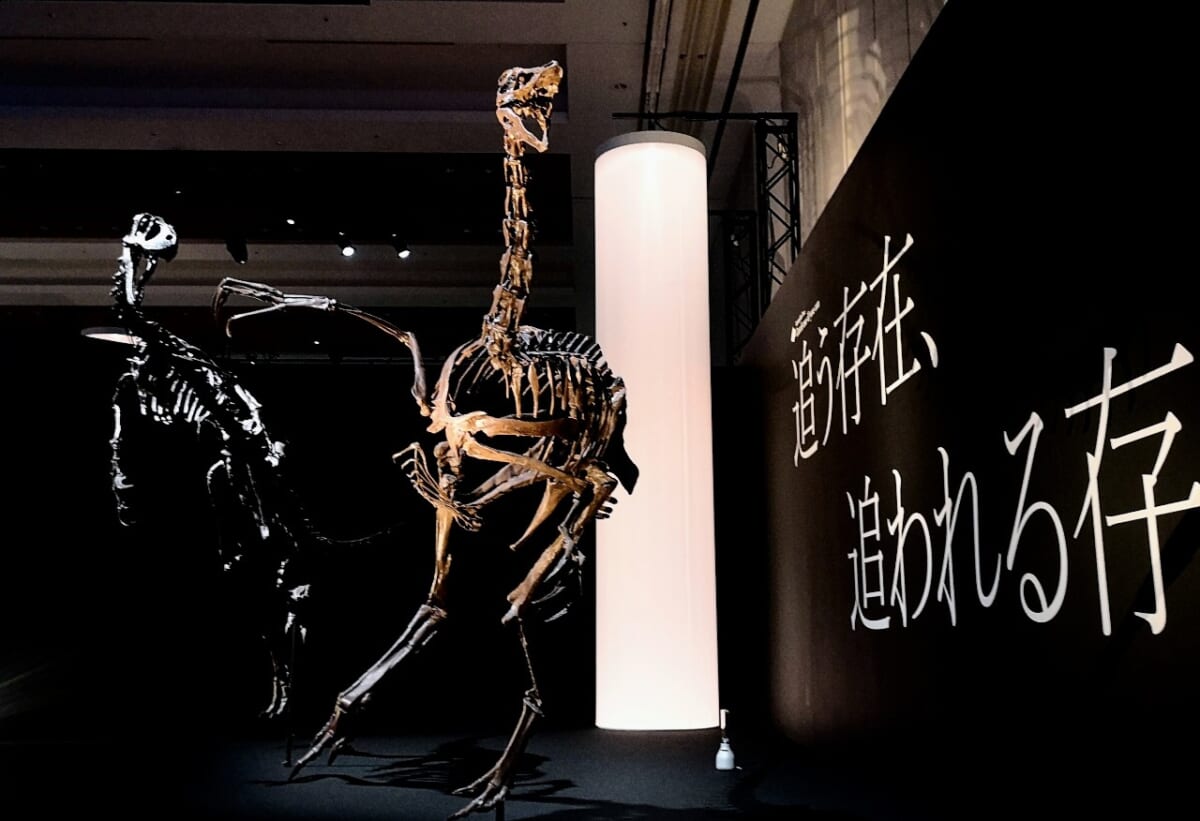 東京都港区・東京ミッドタウン・ホール「DinoScience 恐竜科学博 2023@TOKYO MIDTOWN」、「追う存在。追われる存在。」