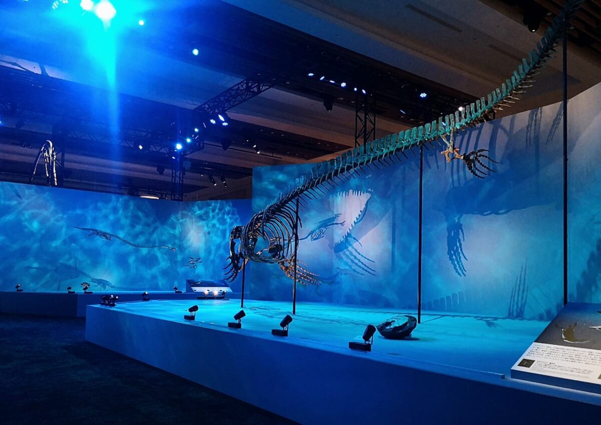 東京都港区・東京ミッドタウン・ホール「DinoScience 恐竜科学博 2023@TOKYO MIDTOWN」、「白亜紀アクアリウム」2
