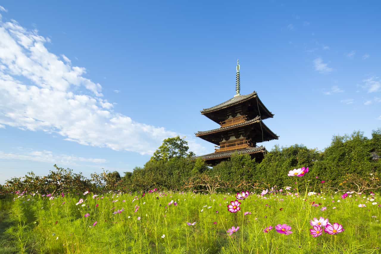 奈良県法起寺三重塔