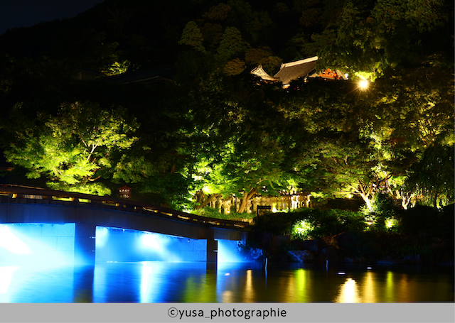 勝尾寺 真夏の宵詣り2023　橋と青いライトアップ