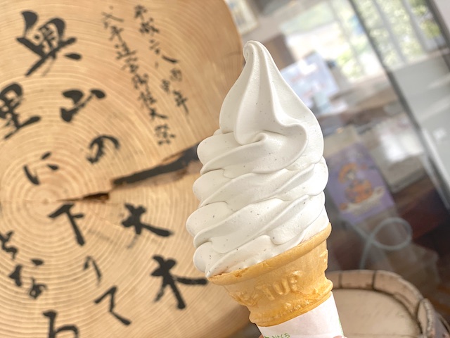 長野県　諏訪湖　タケヤ味噌会館　30BAR　ごまみそソフトクリーム 350円
