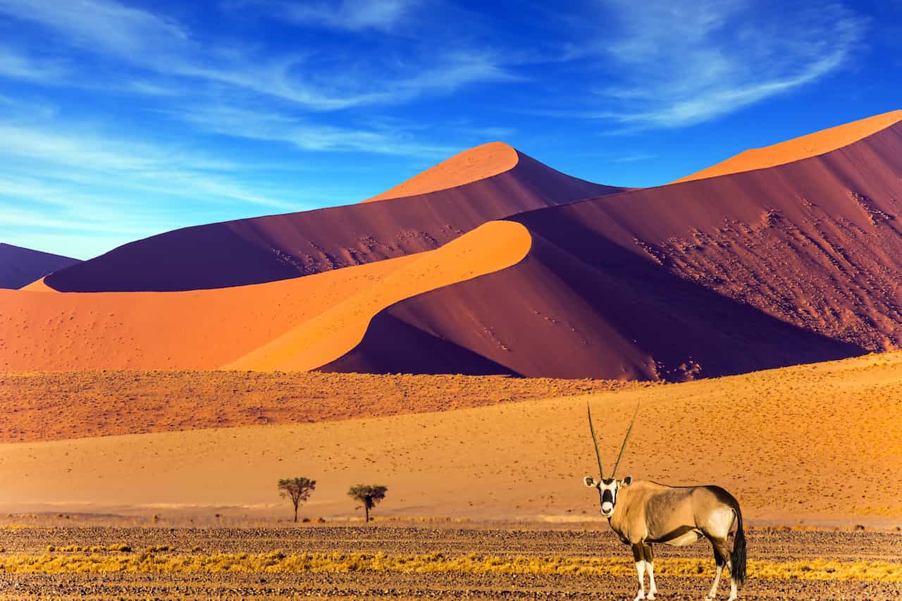 ナミビア・ナミブ砂漠
