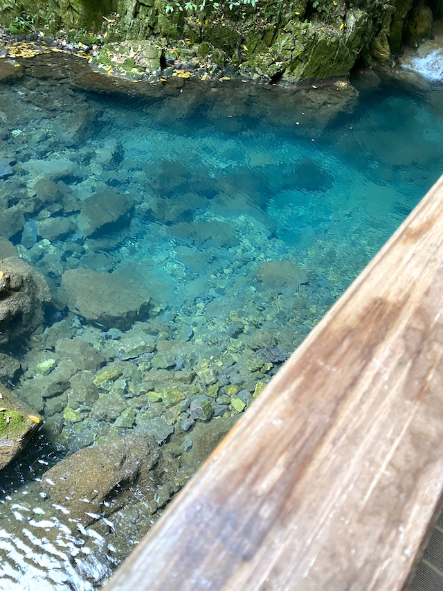 山口県　秋芳洞　水が青く美しい