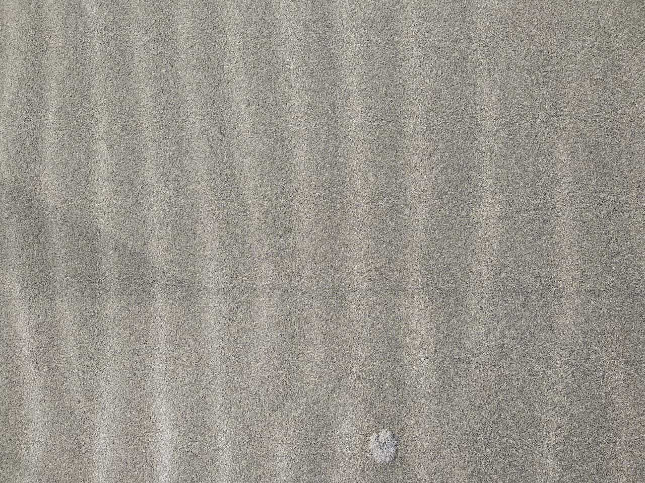 中田島砂丘の砂