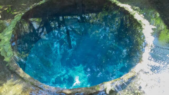 551488-shutterstock_1055236055