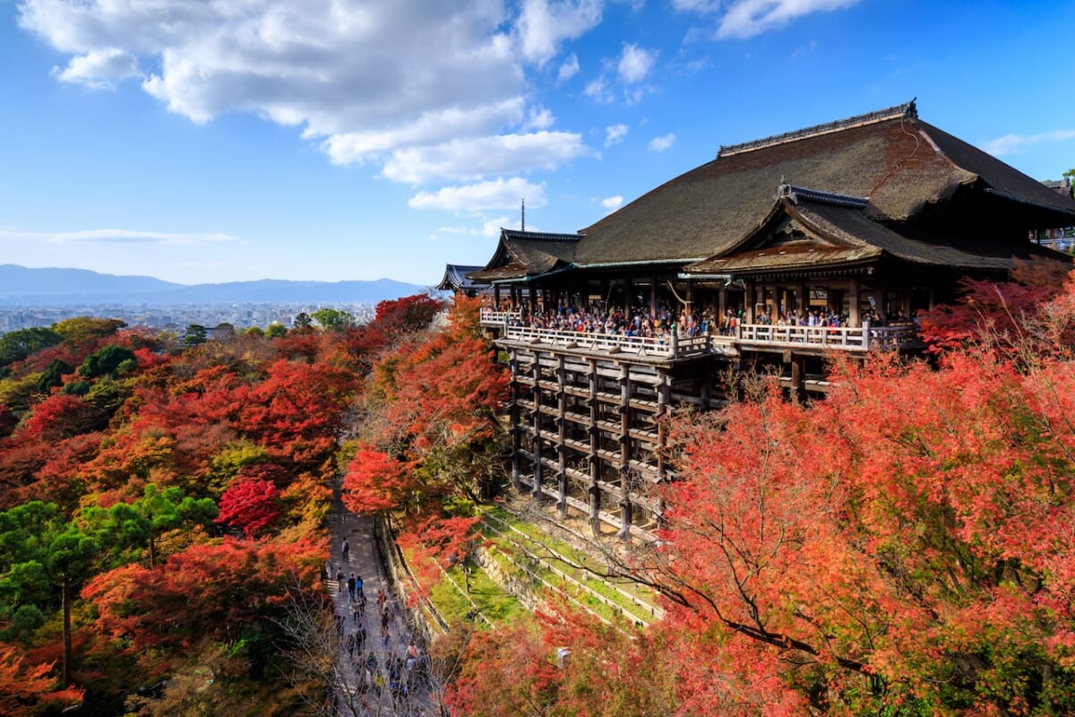 京都府・清水寺の紅葉