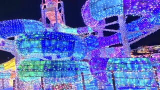 よみうりランド ジュエルミネーション 2023 LIGHT is LOVE