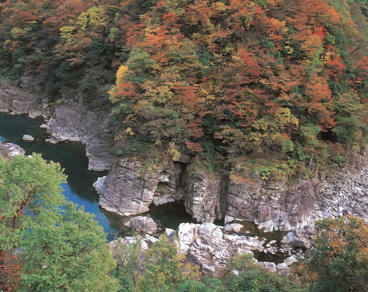 福井県九頭竜峡の紅葉