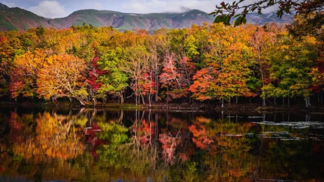 知床　残された神の土地 555667-shutterstock_784926433-