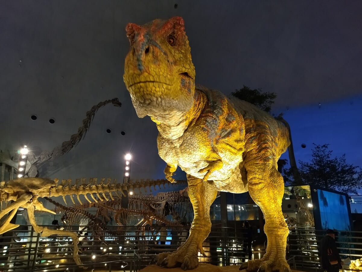 福井県立恐竜博物館恐竜3