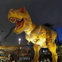 福井県立恐竜博物館恐竜5