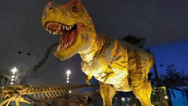 福井県立恐竜博物館2023年リニューアル後の徹底ルポ】事前予約は必須