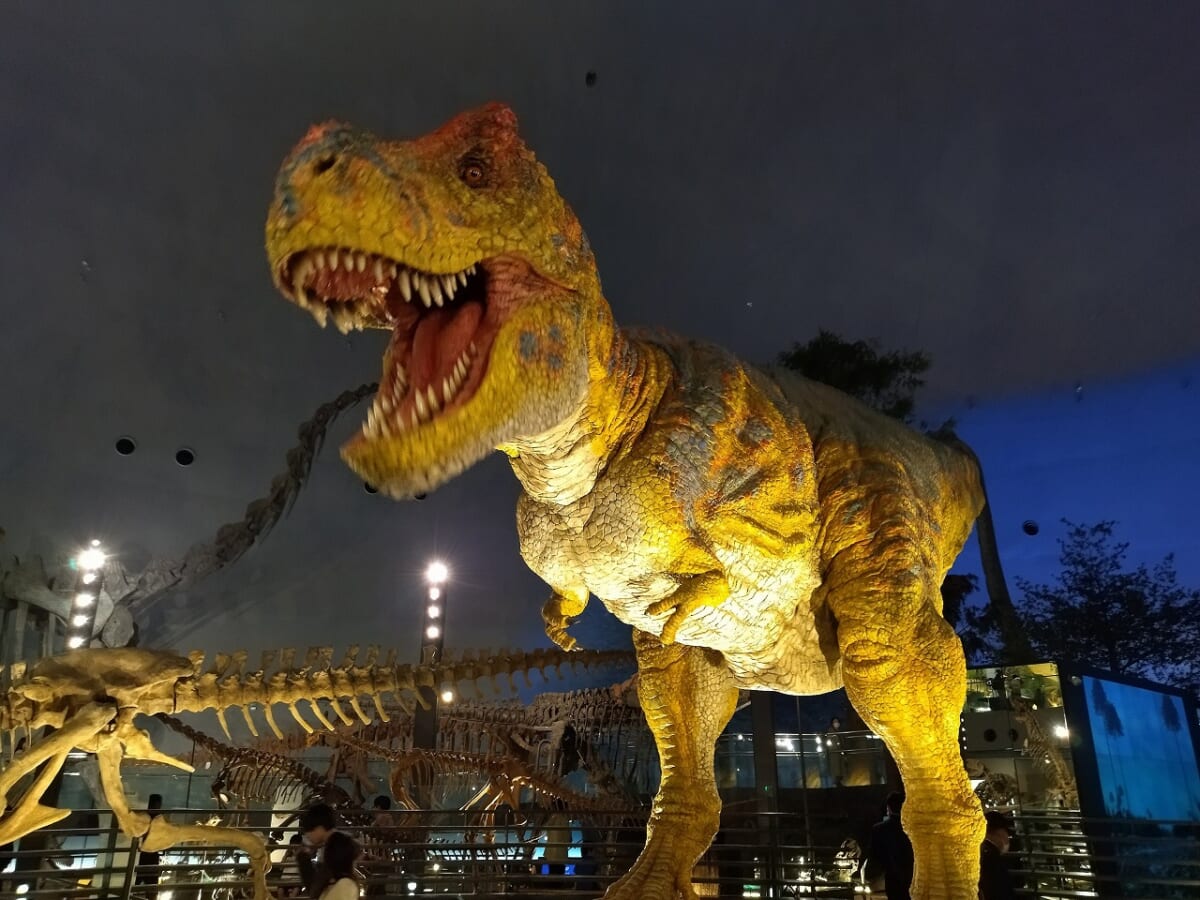 福井県立恐竜博物館恐竜5