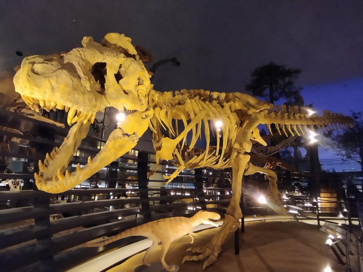 福井県立恐竜博物館恐竜6