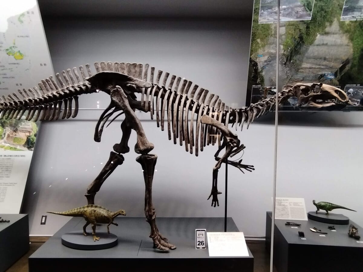 福井県立恐竜博物館恐竜12