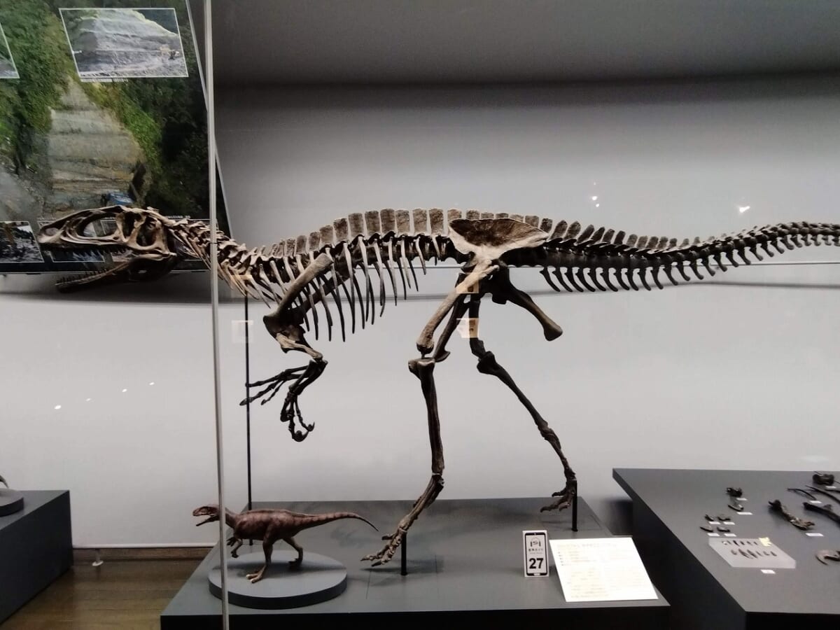 福井県立恐竜博物館恐竜13