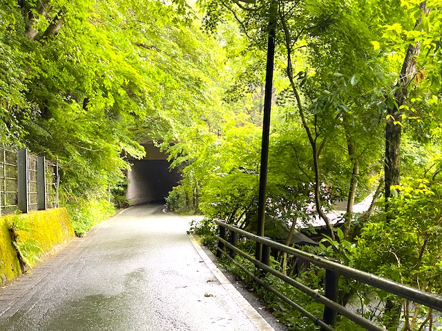 黒川温泉　トンネル