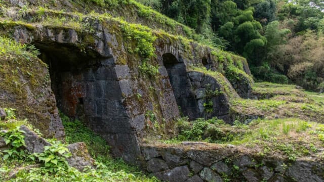 556574-shutterstock_1916469167