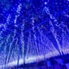 あしかがフラワーパーク　光の花の庭　光のふじのはな物語