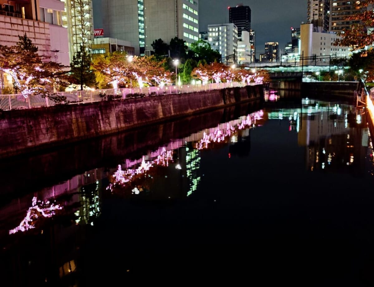東京都品川区・「目黒川みんなのイルミネーション」橋の上からの風景2