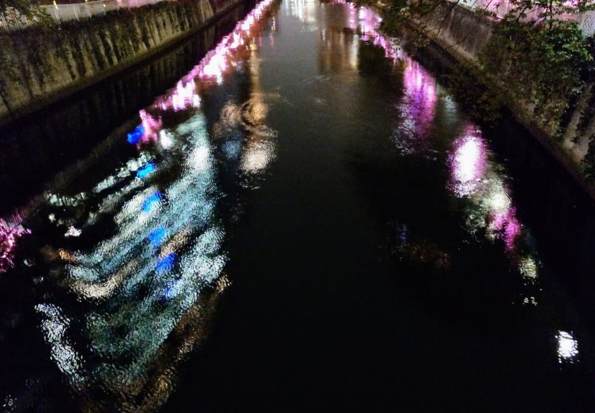 東京都品川区・「目黒川みんなのイルミネーション」水面