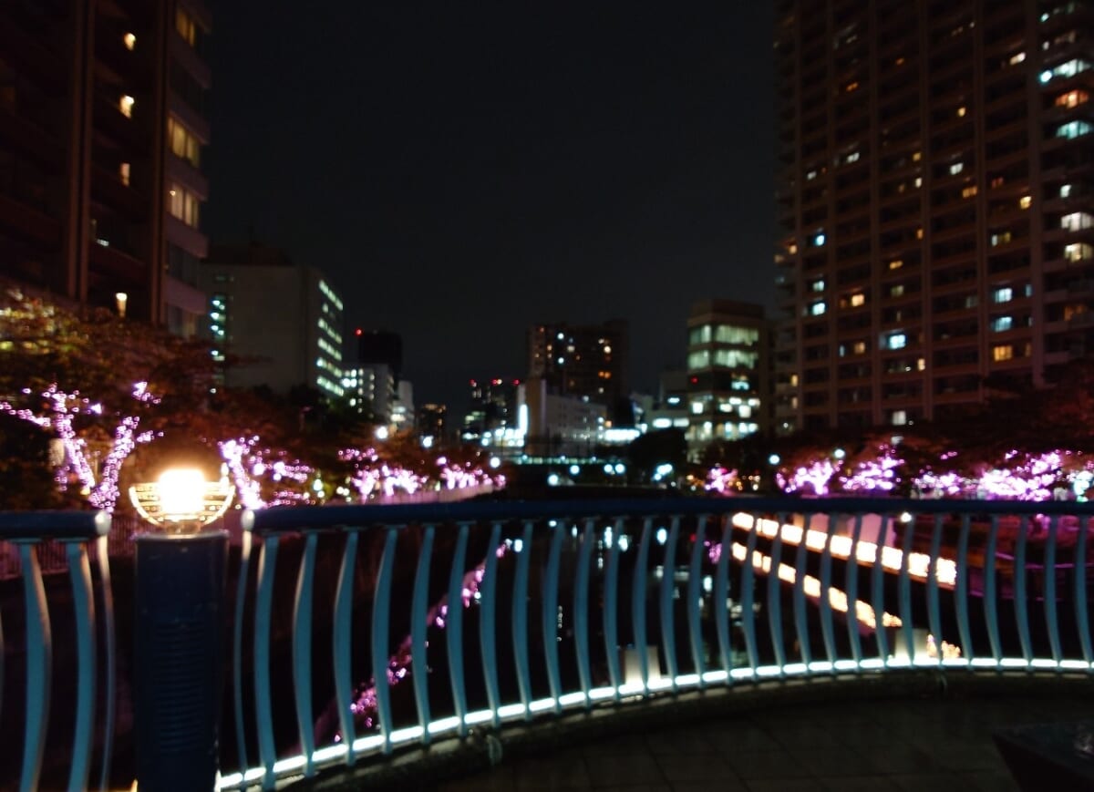 東京都品川区・「目黒川みんなのイルミネーション」橋の上からの風景3