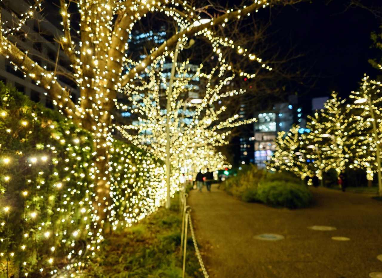 東京都港区・東京ミッドタウン「MIDTOWN CHRISTMAS 2023」（光の散歩道）2