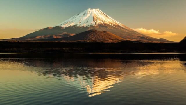 559865-shutterstock_188464544-