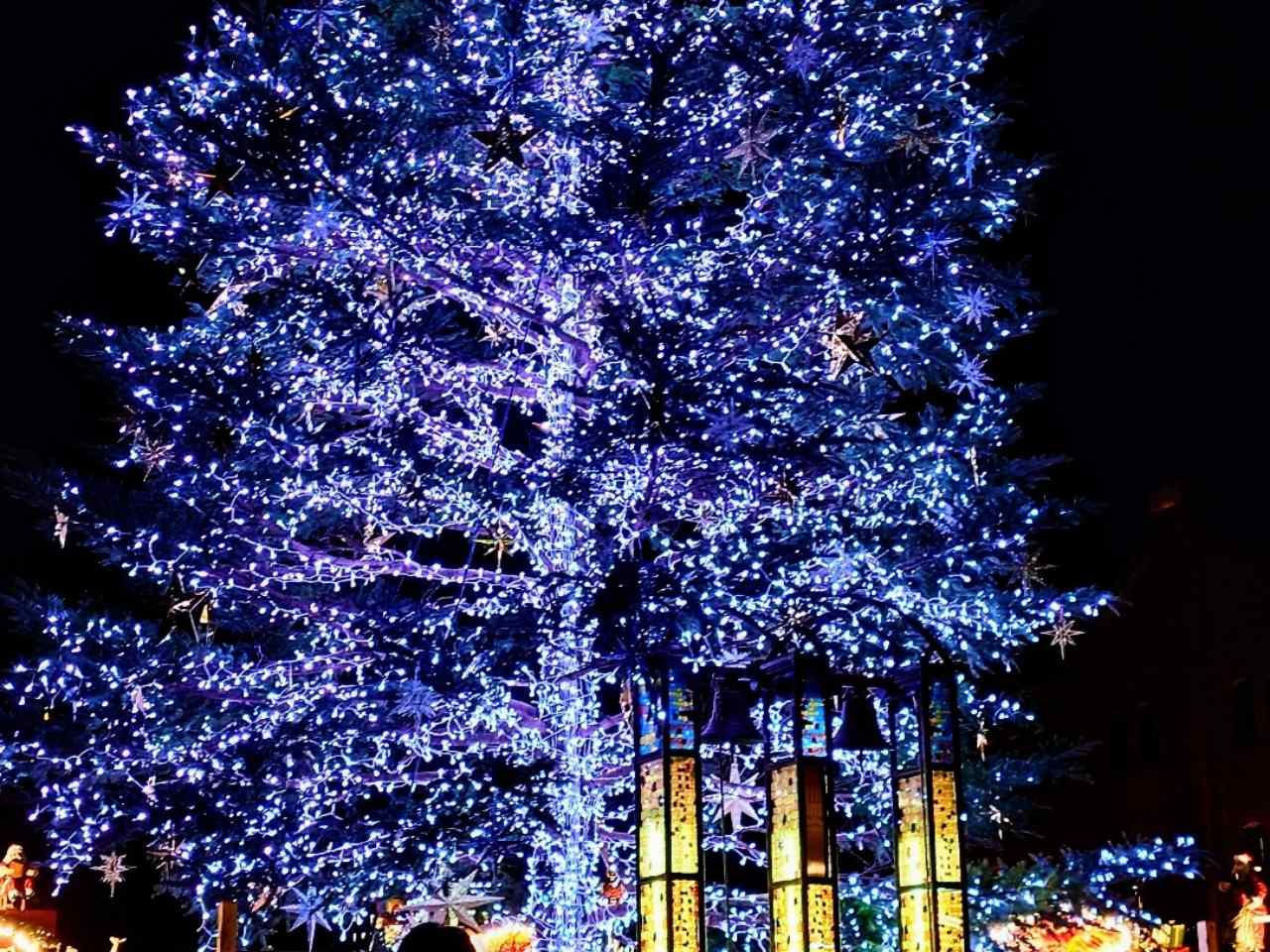神奈川県横浜市・横浜赤レンガ倉庫「Christmas Market in 横浜赤レンガ倉庫」クリスマスツリー3