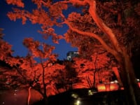 八芳園「TOKYO RED GARDEN AUTUMN FESTIVAL 2023」