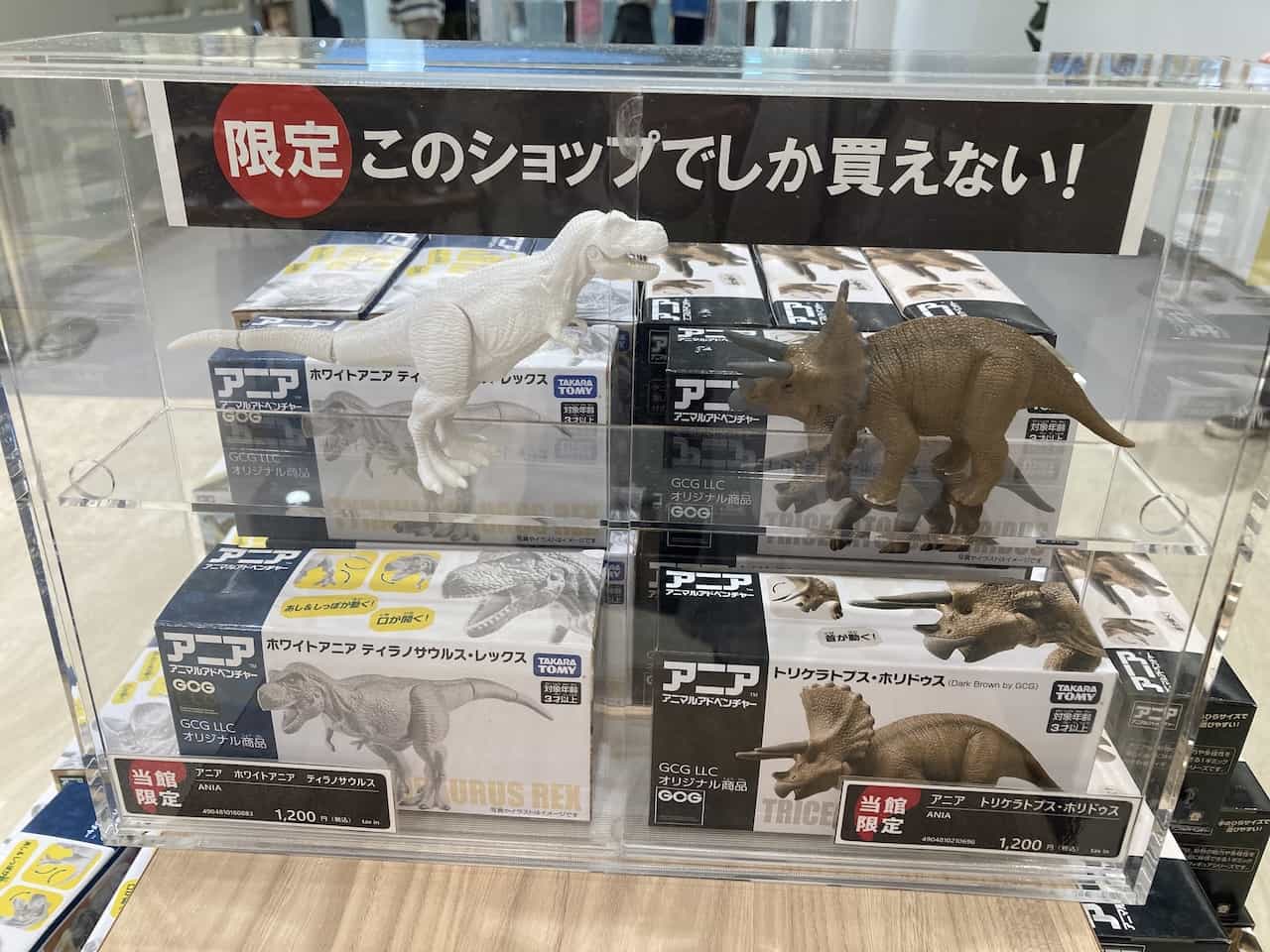福井県立恐竜博物館ミュージアムショップ・恐竜のフィギュア