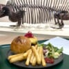 福井県立恐竜博物館レストラン・肉食ティラノバーガーと恐竜の化石（複製）