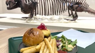 福井県立恐竜博物館レストラン・肉食ティラノバーガーと恐竜の化石（複製）