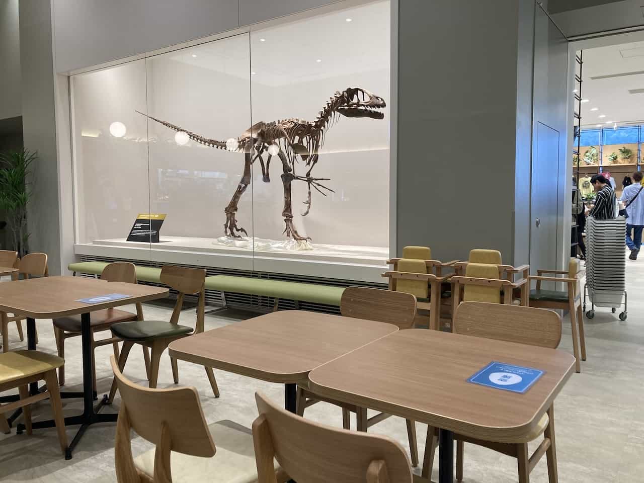 福井県立恐竜博物館レストラン・恐竜の化石（複製）