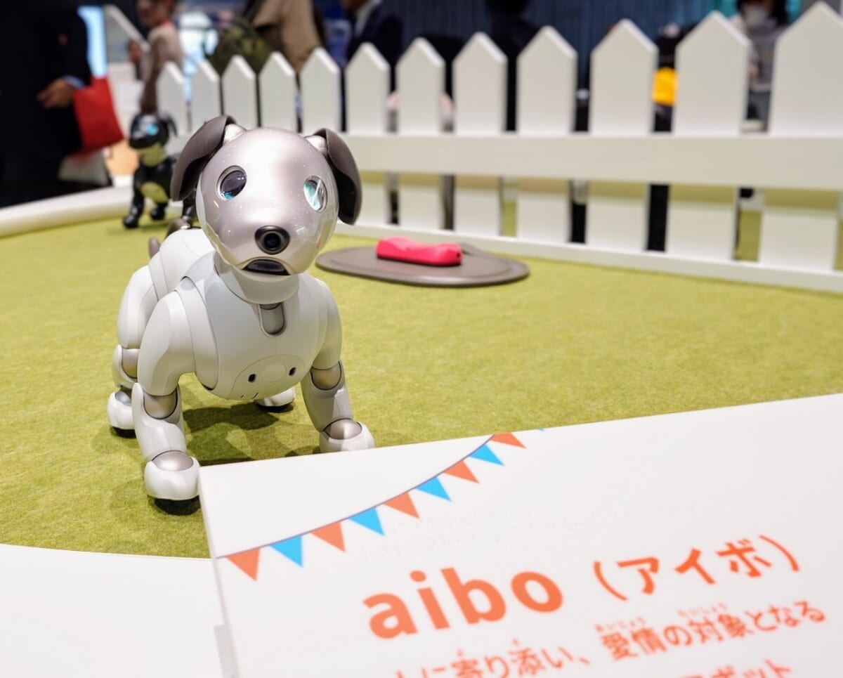 東京都江東区・日本科学未来館・ハロー! ロボット（aibo）