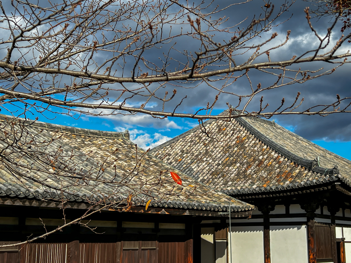 元興寺「日本最古の屋根瓦」