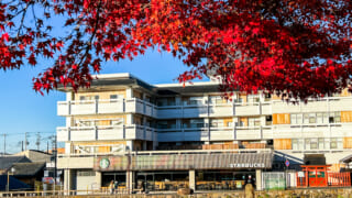 「スターバックス コーヒー 奈良猿沢池店」は、奈良の観光地・猿沢池のほとりにあるお店