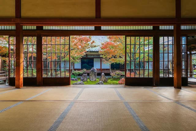 京都　建仁寺　庭の眺め